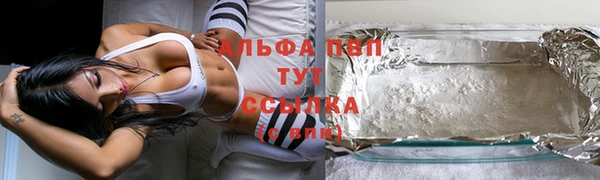 стафф Киреевск