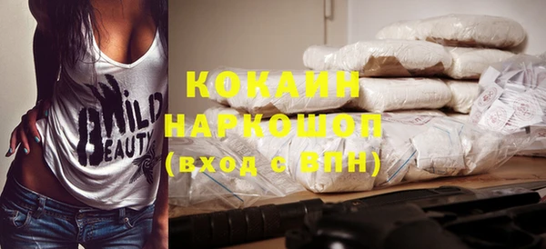 твердый Каменка